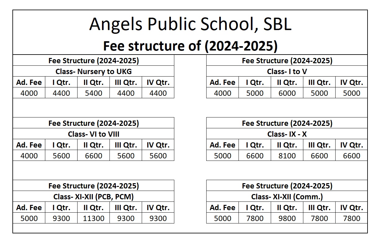 Angels Public School Fee Structure